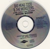 Big Head Todd and the Monsters Albums, Songs - Discography - Album of The  Year