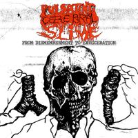 Pulsating Cerebral Slime - From Dismemberment to Exulceration