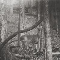 Corey Kilgannon - Bleeding Out Slow (B-Sides)