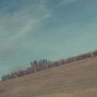 indecent insects - FILK (2023 Leftover/Scraps)