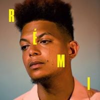 Ronnie Flex - R&eacute;mi