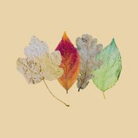 american poetry club - years in a year (official soundtrack)
