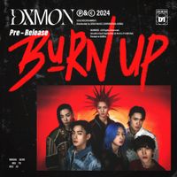 DXMON - Burn Up