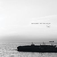 Keita Sano - Not Too Late
