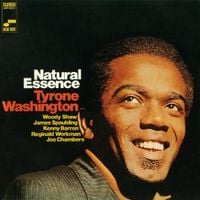 Tyrone Washington - Natural Essence