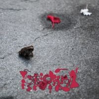 Phyllomedusa - Drought And Misery