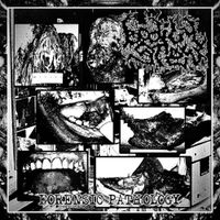 Bodily Stew - Forensic Pathology