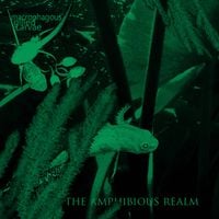 Macrophagous Gilled Larvae - The Amphibious Realm