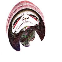 swazy* - bullet therapy