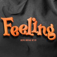 김성규 [Kim Sung Kyu] - Feeling