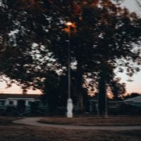 HARRY WAS HERE - Living Nightmares