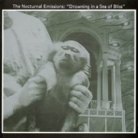 Nocturnal Emissions - Drowning in a Sea of Bliss