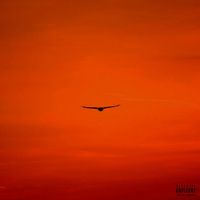 Blvck Svm - carpaccio