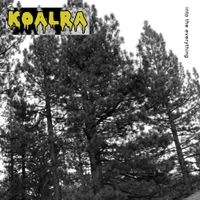 Koalra - Into the Everything