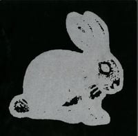 Unwound - 06/30/1999: Reykjavik, Iceland