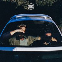 Evening Elephants - Half a Brain
