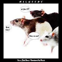 MALNEEZY - This is Junk House / Downtown Rat Hussle