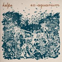 Kelpe - Ex-Aquarium