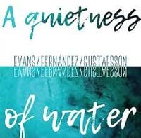 Evans / Fernández / Gustafsson - A Quietness of Water