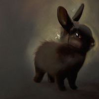 Mietze Conte - bunnybunnybunny