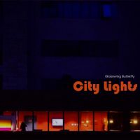 Glasswing Butterfly - City Lights