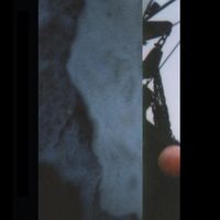 Cremation Lily - Radiance and Instability