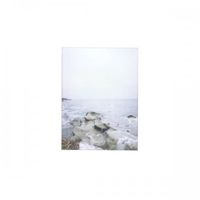 Cremation Lily - Sea Spray Perfumes