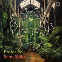 Sean Shibe - Profesi&oacute;n