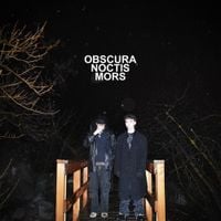 Turnabout - OBSCURA NOCTIS MORS