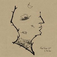 Pete Davis - False Friends