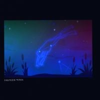 Disasterpeace - Paradise Marsh