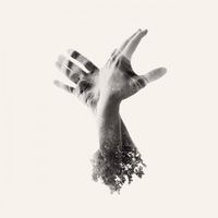 The Last Dinosaur - The Nothing