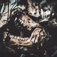 Vile. - Trauma