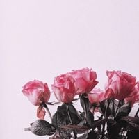 GRAHAM - Wrong