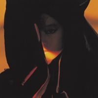 中森明菜 [Akina Nakamori] - 不思議 [Fushigi]