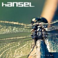 HANSEL - The Future Is Not What It Used to Be