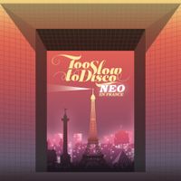 Various Artists - Too Slow to Disco NEO - En France
