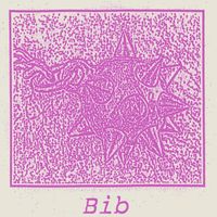 BIB - Demo 2015