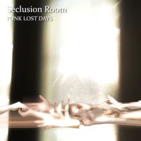 Punk Lost Days - Seclusion Room