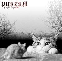 Purzum - Just Aske