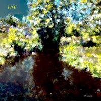 Hverheij - Life