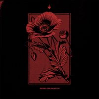 Kollaps - Until The Day I Die