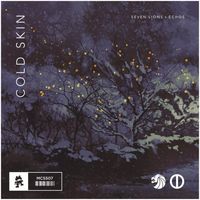 Seven Lions & Echos - Cold Skin