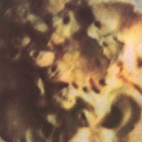 Lovesilkpalemilk - Honey Noire