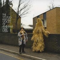 Young Knives - Voices of Animals and Men