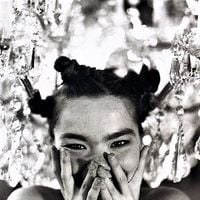Bj&ouml;rk - Big Time Sensuality