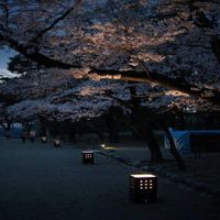 9smjay - kyoto