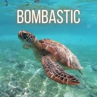 Yung Oogway - Bombastic Lova Lova