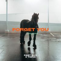 Topic - Forget You