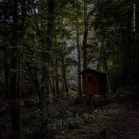 Rogue Charlie - Se Tutto Finisse Qui